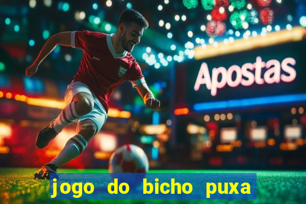 jogo do bicho puxa de dona maria